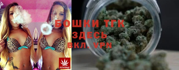 дмт Нягань