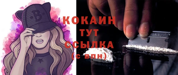 соль ск Няндома