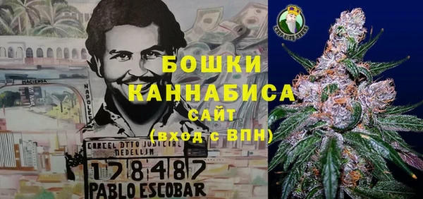 дмт Нягань