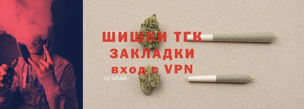дмт Нягань