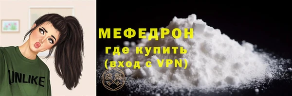 соль ск Няндома