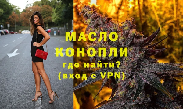 дмт Нягань
