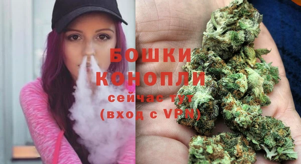 дмт Нягань