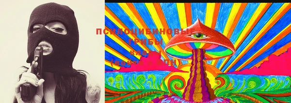 соль ск Няндома