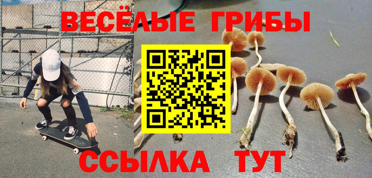 Псилоцибиновые грибы мицелий Сибай