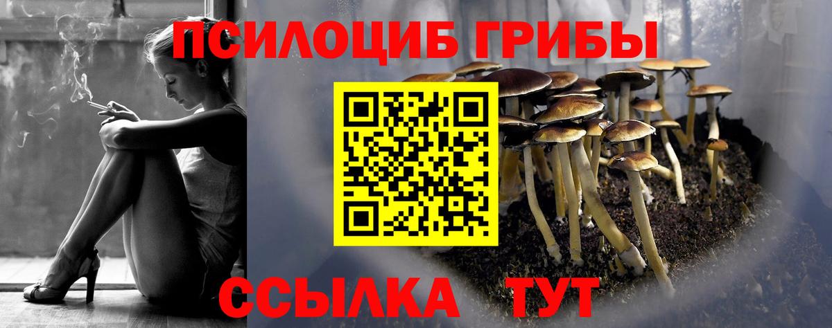 Псилоцибиновые грибы Psilocybe  Псилоцибиновые грибы прущие грибы  Сибай  Вход с VPN 