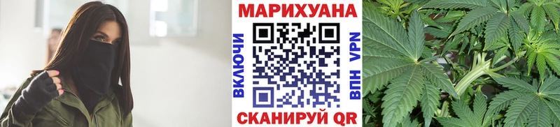 купить   Сибай  Канабис сатива 