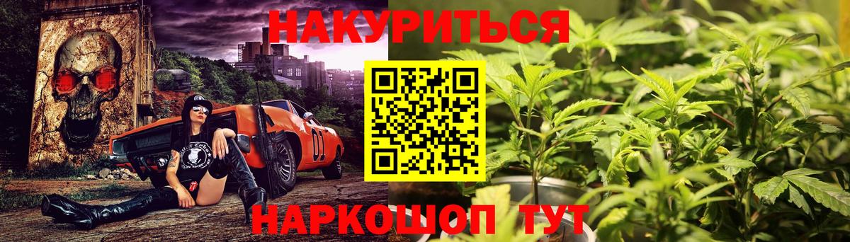 Шишки марихуана конопля Сибай